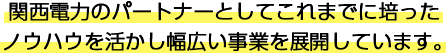 関西電力のパートナーとしてこれまでに培ったノウハウを活かし幅広い事業を展開しています。